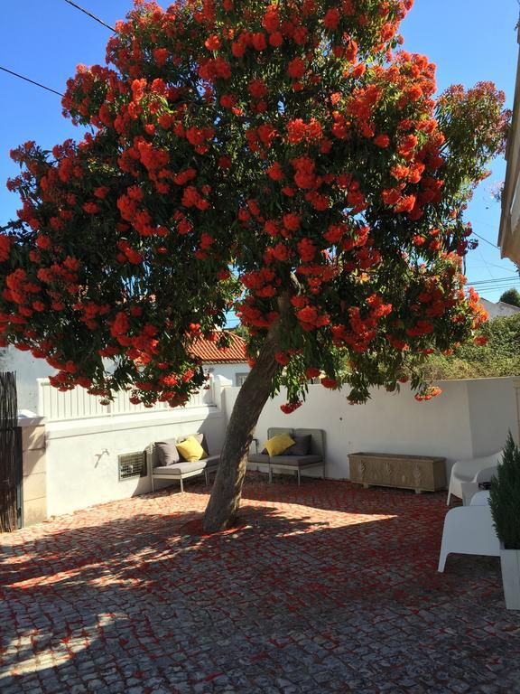 Hotel Cosy Sintra Zewnętrze zdjęcie